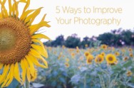 5 Ways To Improve Your Photography